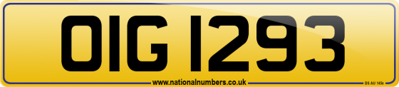 OIG 1293