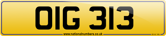 OIG 313