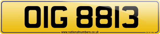 OIG 8813