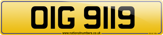 OIG 9119