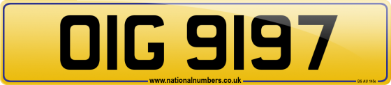 OIG 9197