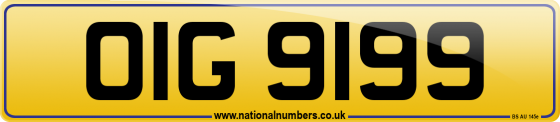 OIG 9199