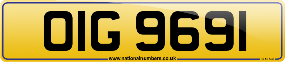 OIG 9691
