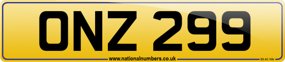 ONZ 299