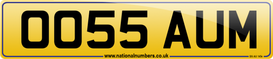 OO55 AUM