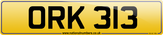 ORK 313