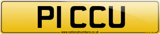P1 CCU
