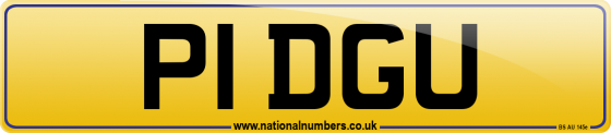 P1 DGU