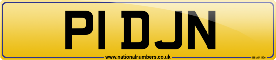 P1 DJN