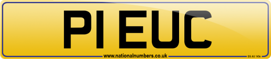 P1 EUC