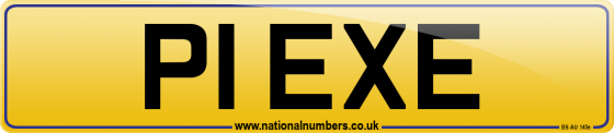 P1 EXE