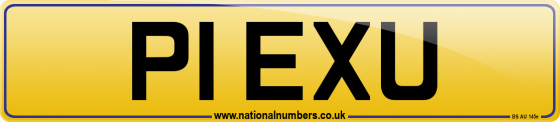 P1 EXU