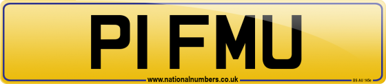 P1 FMU