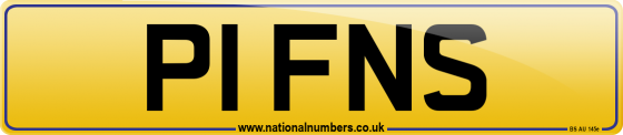 P1 FNS