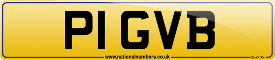 P1 GVB