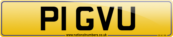 P1 GVU