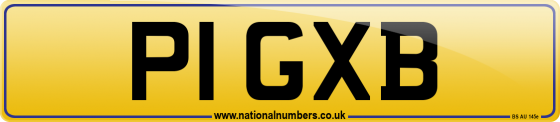 P1 GXB