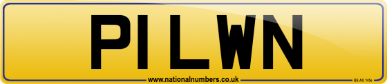 P1 LWN