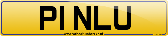 P1 NLU