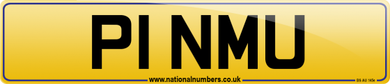 P1 NMU