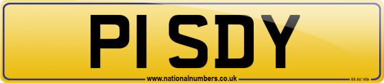 P1 SDY
