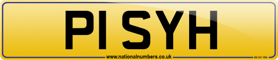 P1 SYH