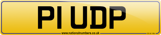 P1 UDP