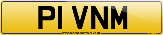 P1 VNM