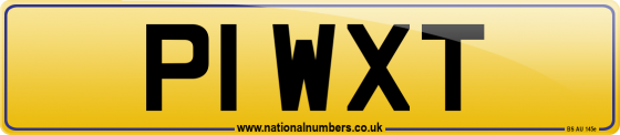 P1 WXT