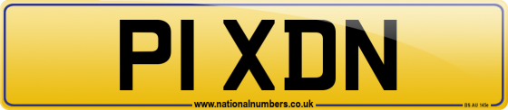 P1 XDN