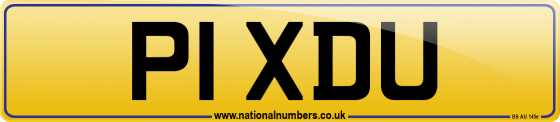 P1 XDU