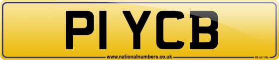 P1 YCB