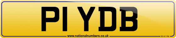 P1 YDB