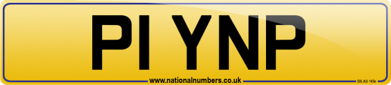P1 YNP