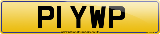 P1 YWP