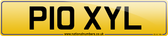 P10 XYL