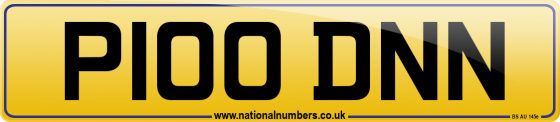 P100 DNN