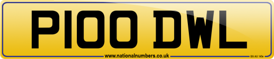 P100 DWL