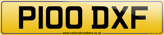 P100 DXF