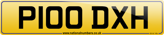 P100 DXH
