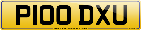 P100 DXU
