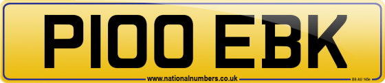 P100 EBK