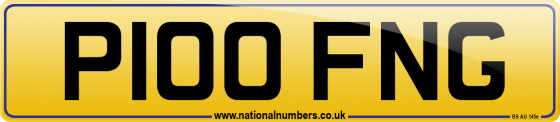 P100 FNG