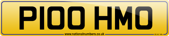 P100 HMO