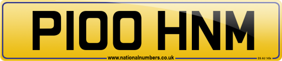 P100 HNM