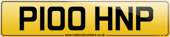 P100 HNP