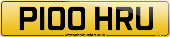 P100 HRU