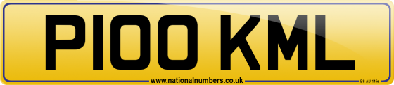 P100 KML