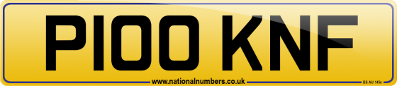 P100 KNF