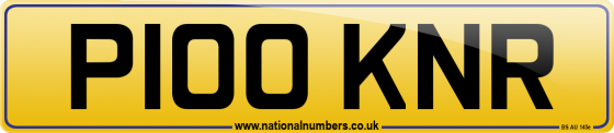 P100 KNR
